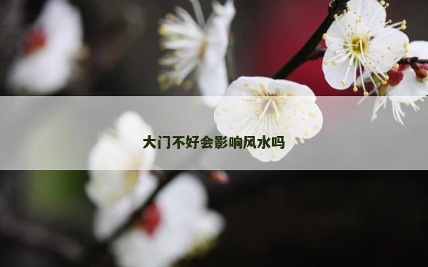 大門不好會(huì)影響風(fēng)水嗎