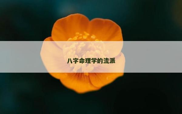 八字命理學(xué)的流派