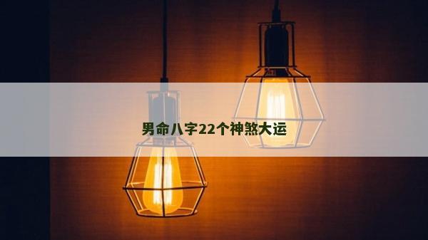 男命八字22個神煞大運