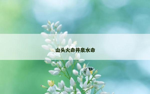 山頭火命井泉水命