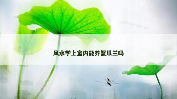 風(fēng)水學(xué)上室內(nèi)能養(yǎng)蟹爪蘭嗎