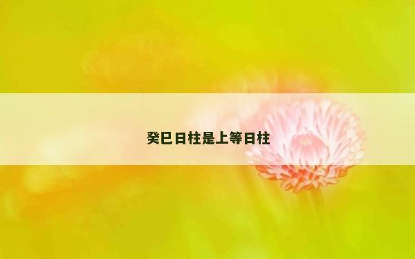 癸巳日柱是上等日柱