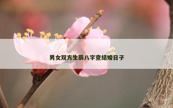 男女雙方生辰八字查結(jié)婚日子