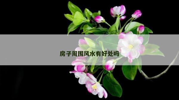 房子周圍風水有好處嗎