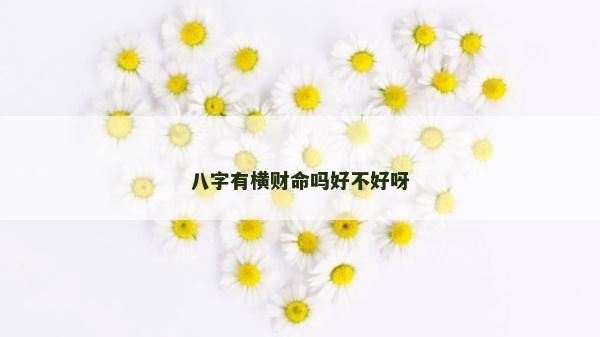 八字有橫財命嗎好不好呀