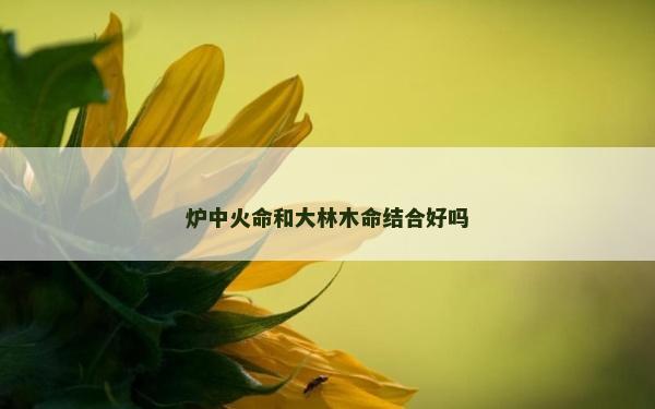 爐中火命和大林木命結合好嗎