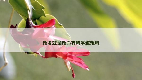 改名就是改命有科學道理嗎