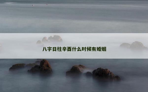 八字日柱辛酉什么時候有婚姻