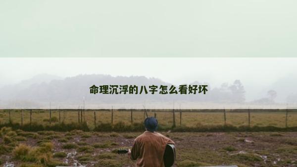 命理沉浮的八字怎么看好壞