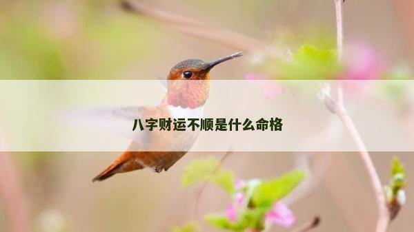 八字財(cái)運(yùn)不順是什么命格