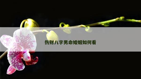 傷財八字男命婚姻如何看