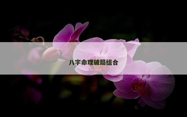 八字命理破局組合