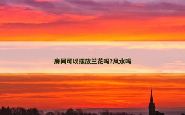 房間可以擺放蘭花嗎?風水嗎