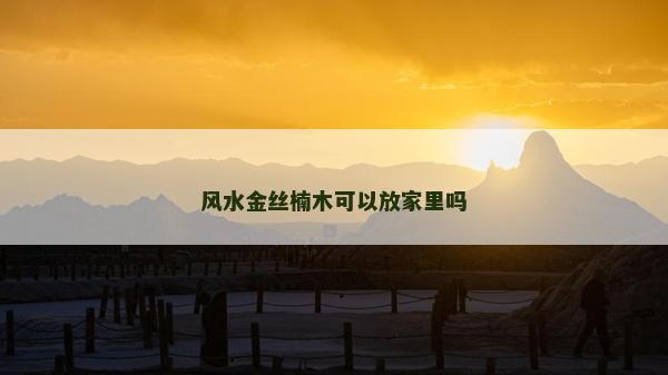風水金絲楠木可以放家里嗎