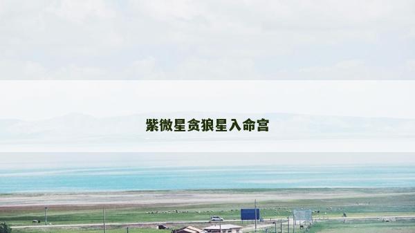 紫微星貪狼星入命宮