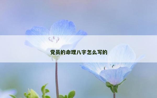 黨員的命理八字怎么寫的