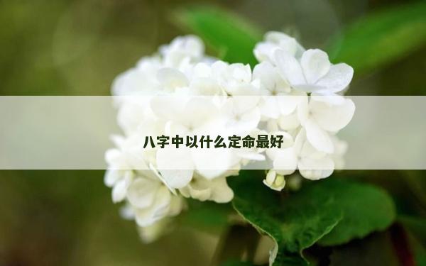 八字中以什么定命最好
