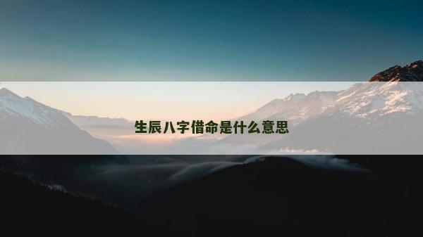 生辰八字借命是什么意思