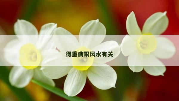 得重病跟風水有關