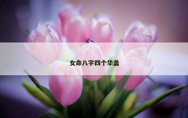 女命八字四個華蓋 女命八字四個華蓋