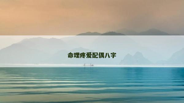 命理疼愛配偶八字