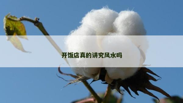 開飯店真的講究風水嗎