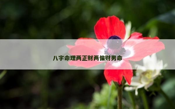 八字命理兩正財兩偏財男命