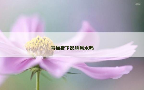 馬桶拆下影響風水嗎