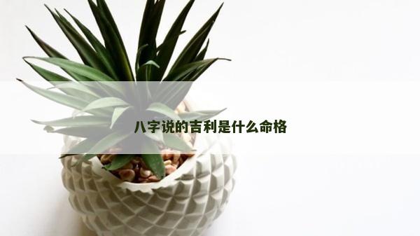 八字說的吉利是什么命格