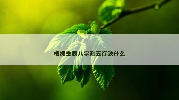 根據生辰八字測五行缺什么