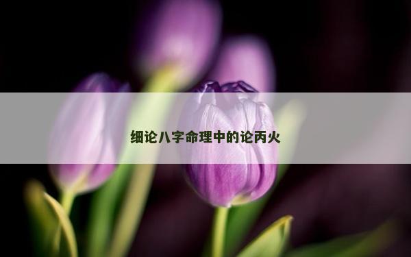 細論八字命理中的論丙火
