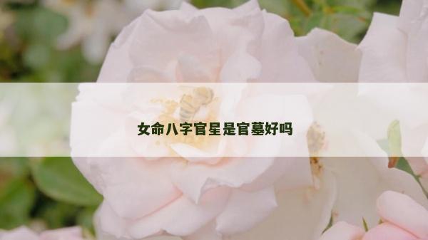 女命八字官星是官墓好嗎