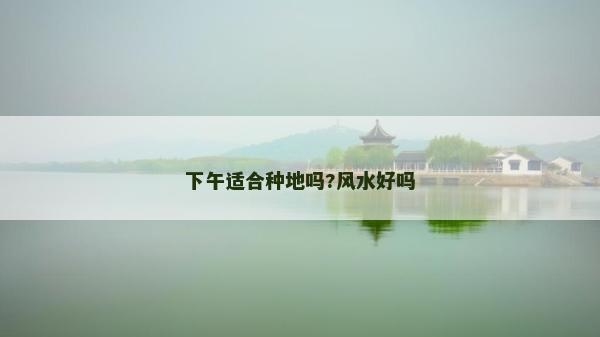 下午適合種地嗎?風水好嗎