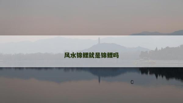 風水錦鯉就是錦鯉嗎