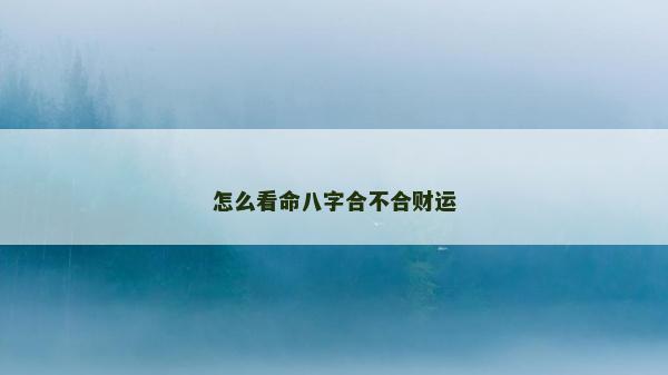 怎么看命八字合不合財運