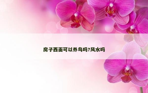 房子西面可以養鳥嗎?風水嗎