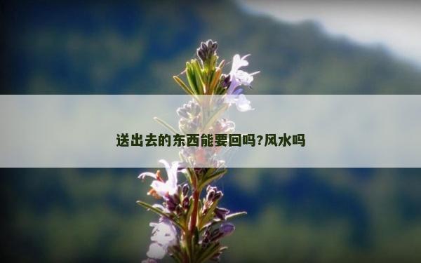 送出去的東西能要回嗎?風水嗎