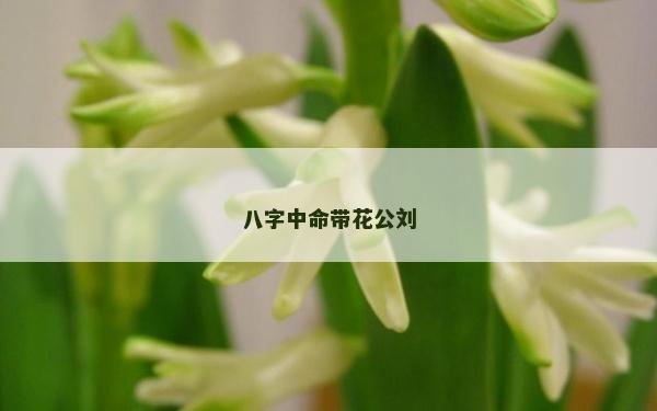 八字中命帶花公劉