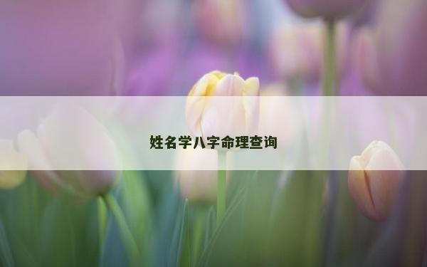 姓名學八字命理查詢