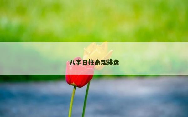 八字日柱命理排盤 八字日柱命理排盤