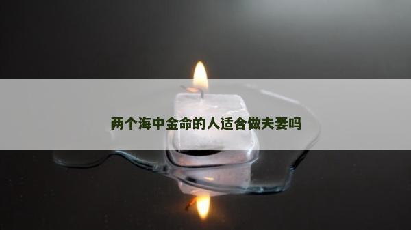 兩個海中金命的人適合做夫妻嗎