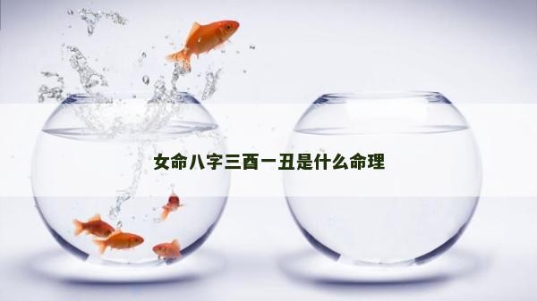 女命八字三酉一丑是什么命理