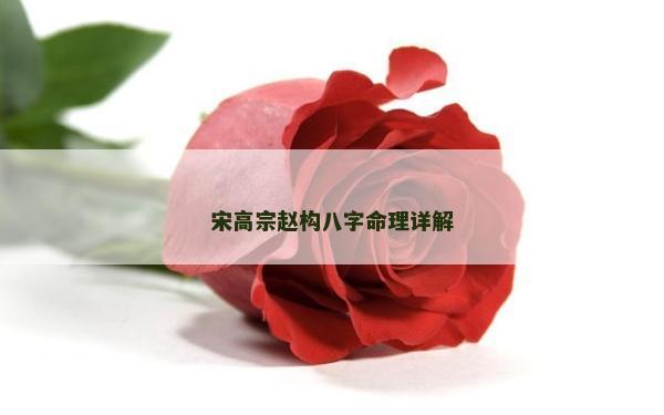 宋高宗趙構八字命理詳解