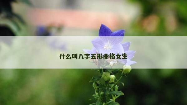 什么叫八字五形命格女生