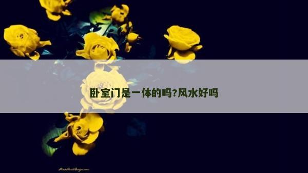 臥室門是一體的嗎?風水好嗎 臥室門是一體的嗎?風水好嗎