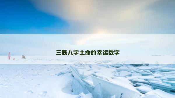 三辰八字土命的幸運數字