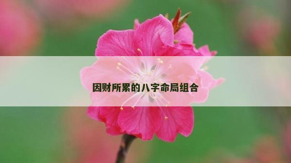 因財(cái)所累的八字命局組合