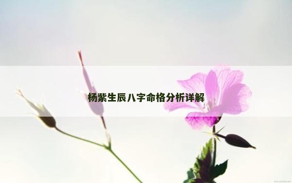 楊紫生辰八字命格分析詳解