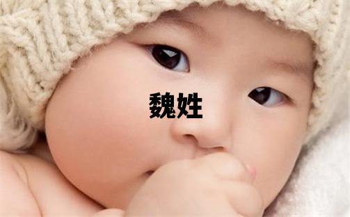 魏姓有智慧才氣的男孩名字,取什么名字好