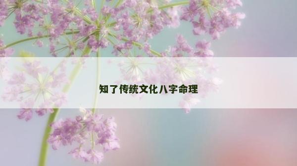 知了傳統文化八字命理